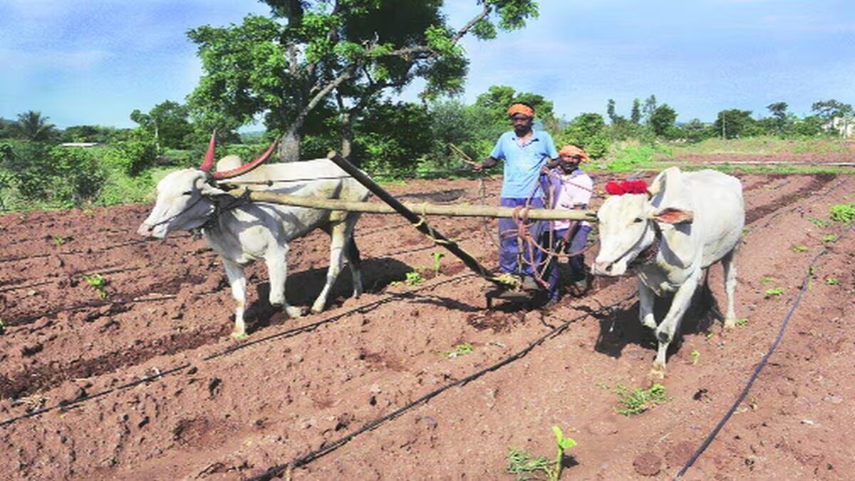 salary of farm workers