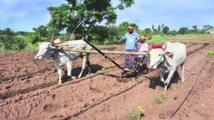 salary of farm workers