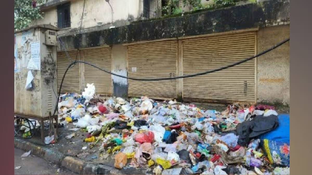 garbage picker thane loksatta news