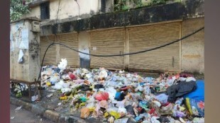 garbage picker thane loksatta news
