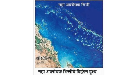 Amazing coral reef system
