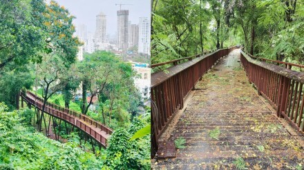 Malabar Hill elevated nature trail