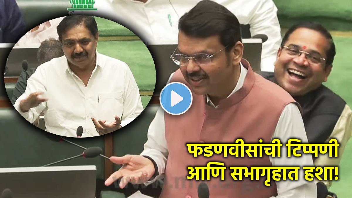 devendra fadnavis maharashtra assembly speech