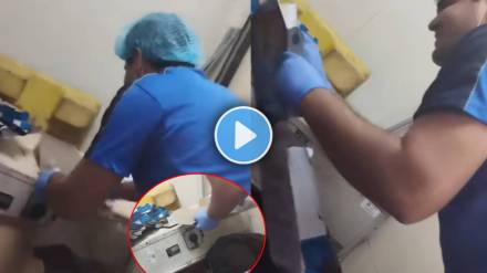 dominos pizza shop shocking video