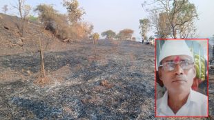 Farmer dies by burns while saving mango orchard from fire in forest