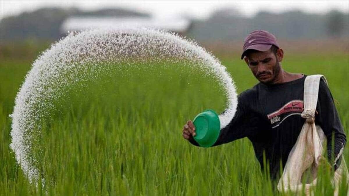 How much subsidy does the central government provide for chemical fertilizers mumbai