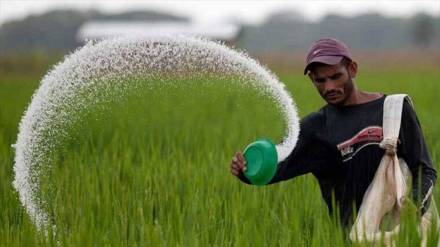How much subsidy does the central government provide for chemical fertilizers mumbai