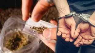 Police seized 9 kg marijuana 22 kg cannabis powder narcotics worth Rs 3 26 lakh and Rs 5lakh 24 thousand cash in sinnar