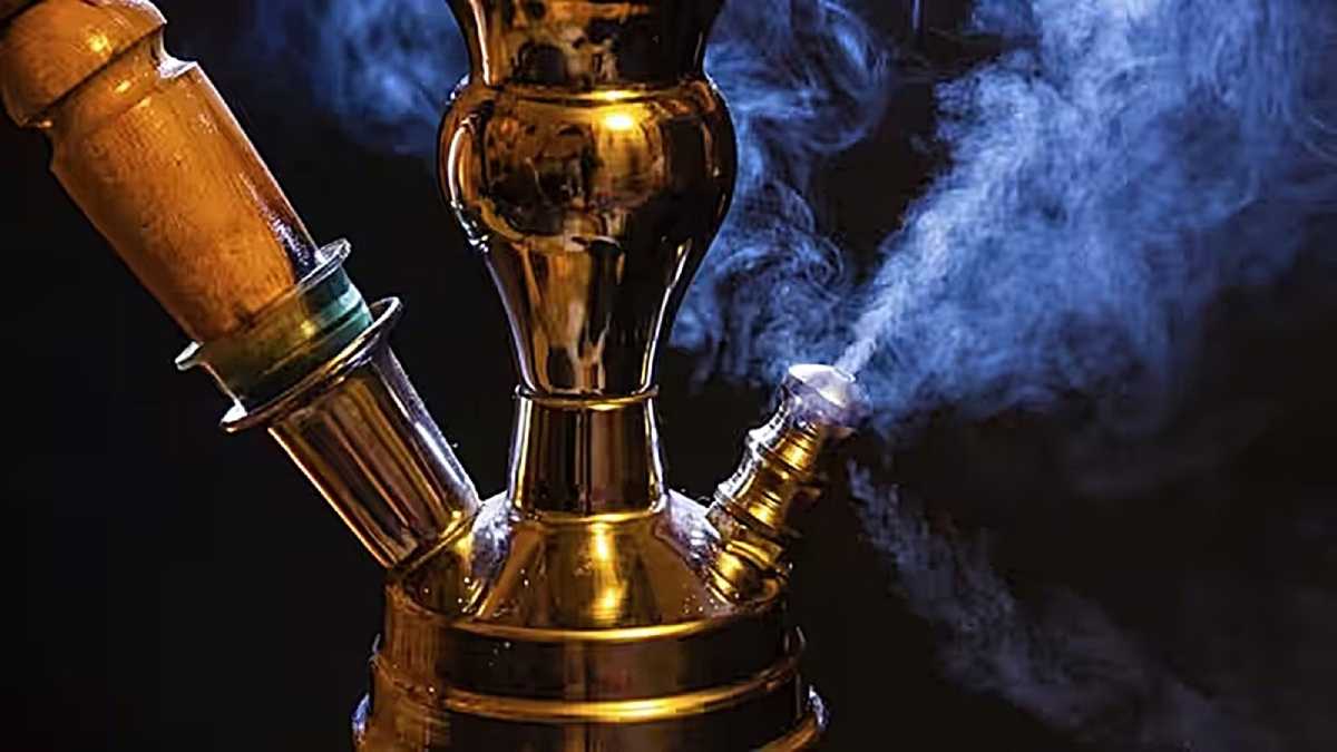 license of illegal hookah parlors news in marathi