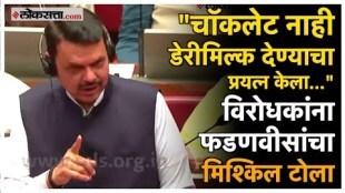 devendra fadanvis speech in assembly session 2025 vidhanparishad