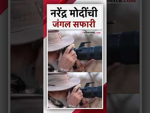 गुजरातमधील गीर राष्ट्रीय उद्यान आणि वन्यजीव अभयारण्याला नरेंद्र मोदींनी दिली भेट