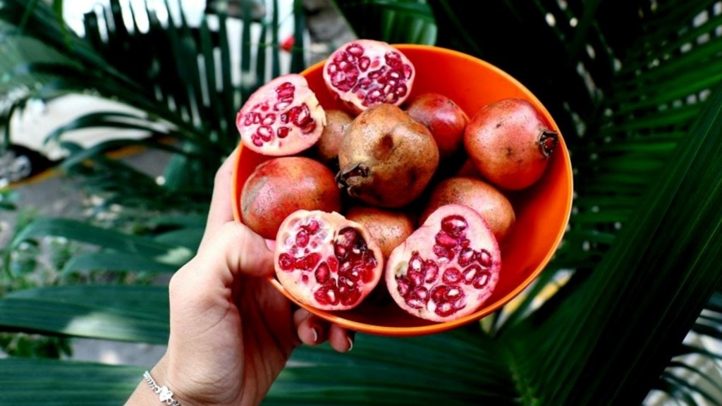 Pomegranate Health Benefits