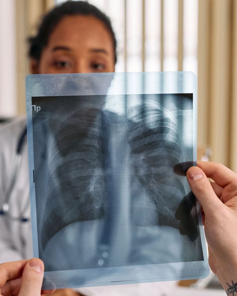 lungs