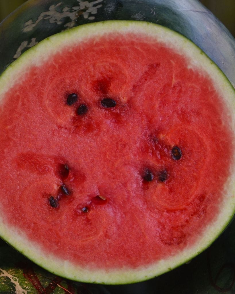 watermelon photo