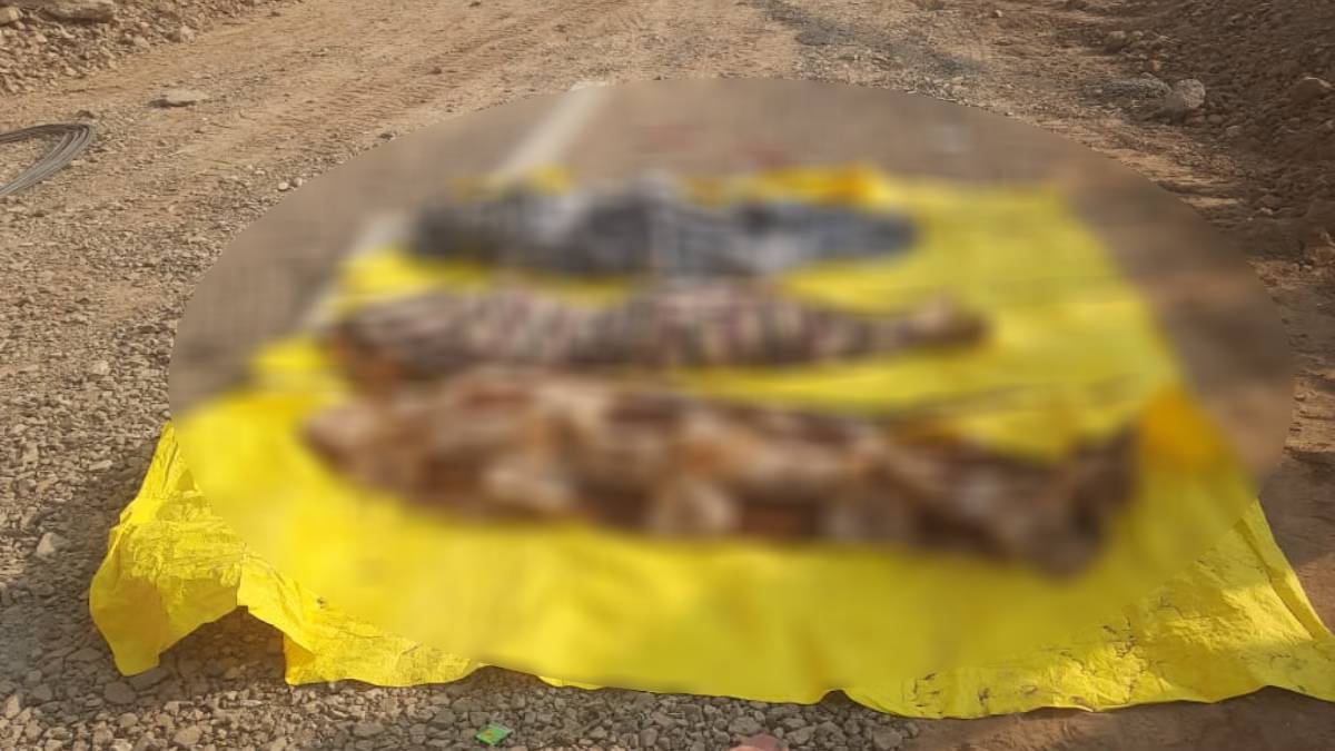 Three laborers sleeping on the roadside died in an accident in Jalgaon district