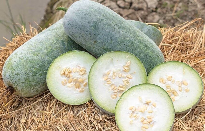 Ash gourd juice benefits