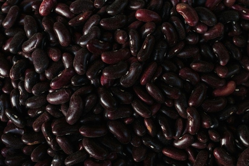 Kidney Beans and Pregnancy