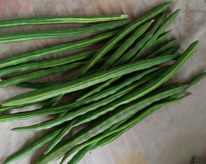 moringa leaves benefits