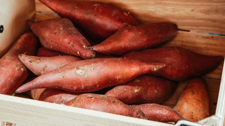 Sweet Potatoes