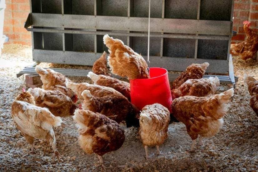 13 things are imported the most in the world