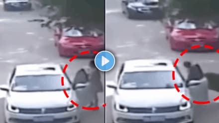 Shocking video of Tiger attacks woman viral video on instagram