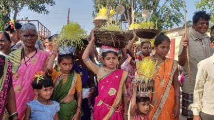 The festival of Akshaya Tritiya is celebrated in the tribal rural area of Jawhar Mokhada in Kasa Palghar district