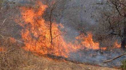 satara unknown person set fire near mahadev temple villagers forest staff controlled it saved forest