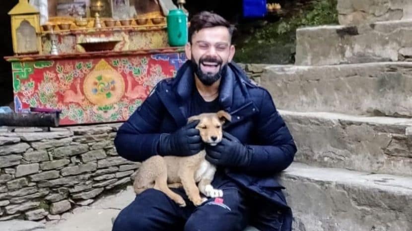 Virat Kohli Puma Deal