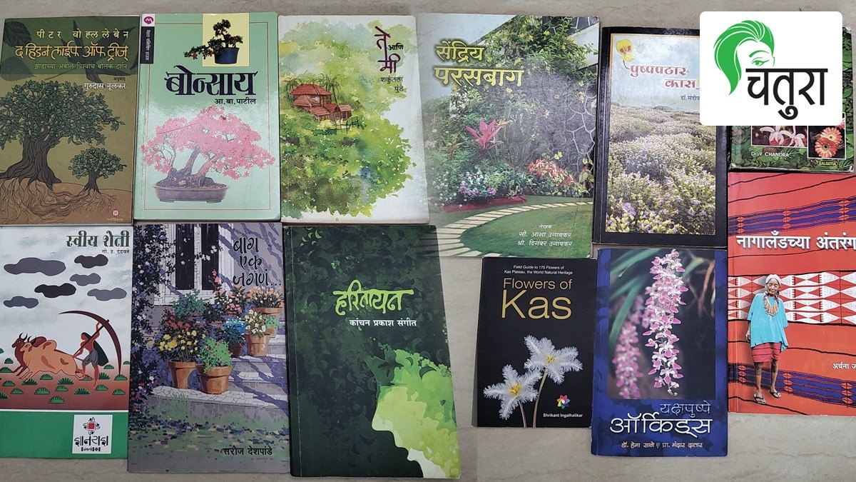 chatura article books based on environment forest