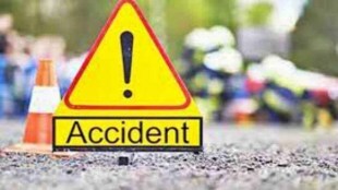 Miraj, calves died, Vehicle accident , animals ,