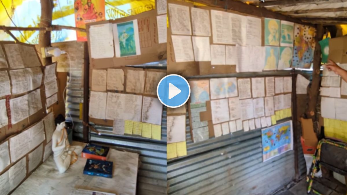 a young boy made a beautiful library at home