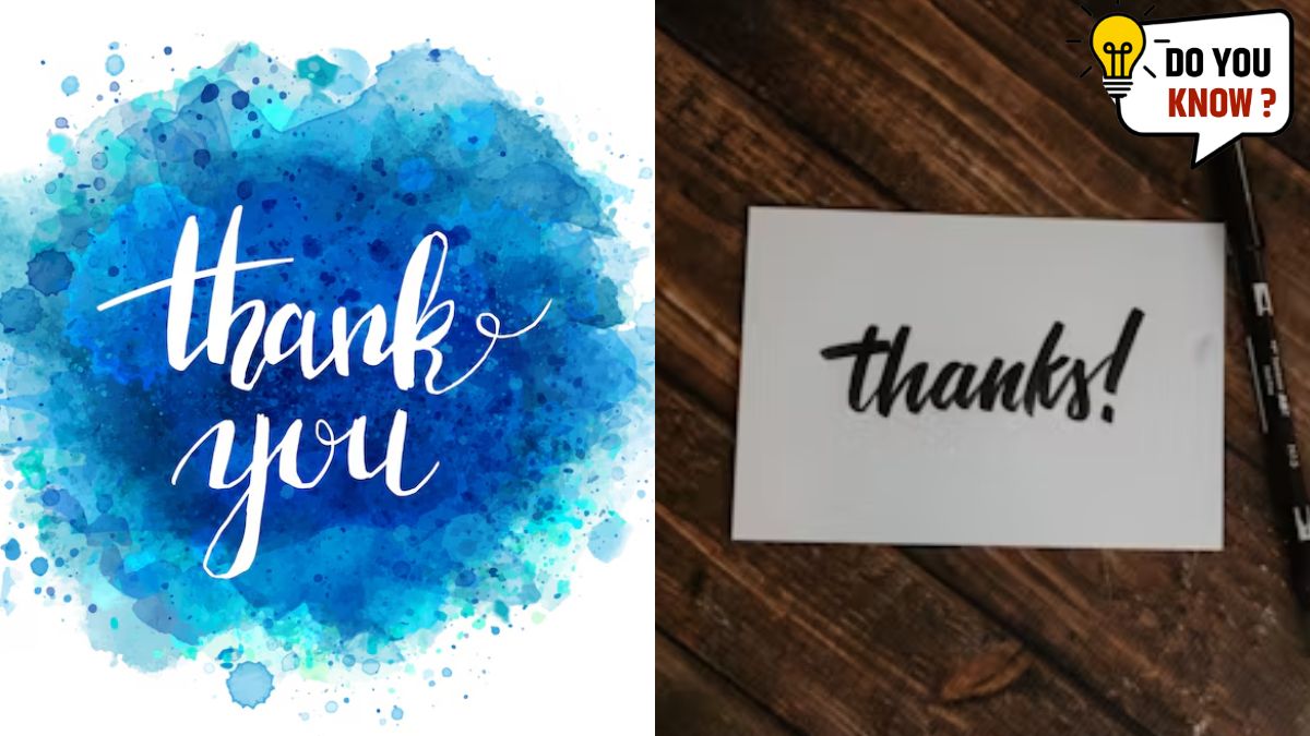 what is the Difference Between Thank You And Thanks