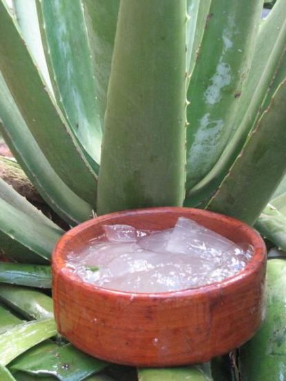 9 Powerful Aloe Vera Remedies for Naturally Glowing and Clear Skin at Home