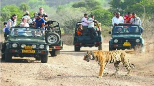 4 crore fund for Chandoli Sanctuary project victims