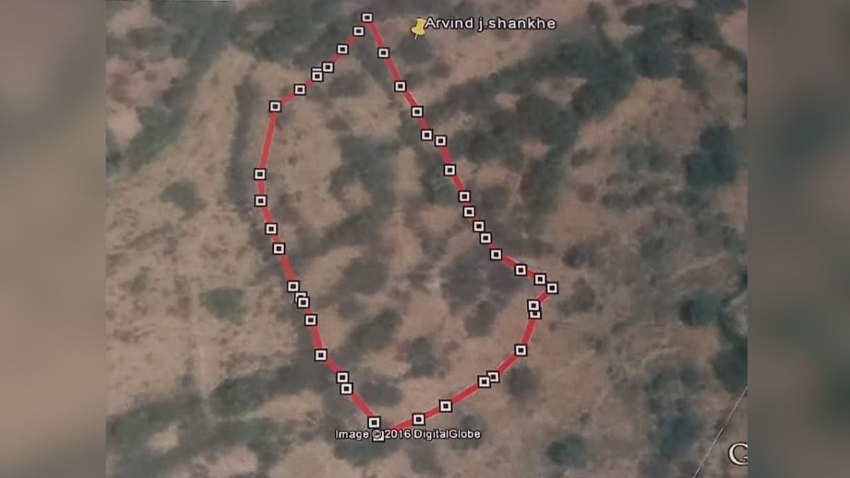 Dapoli farmers wait for forest land Follow-up continues at various levels for eight years