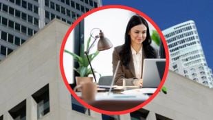 Deloitte Give Paid Internship For Freshers