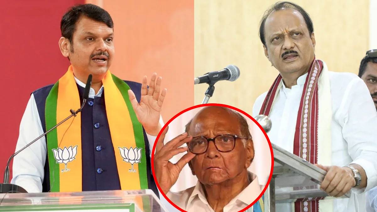 Devendra Fadnavis on Ajit Pawar
