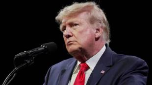 US President Donald Trump delays imposing import tariffs