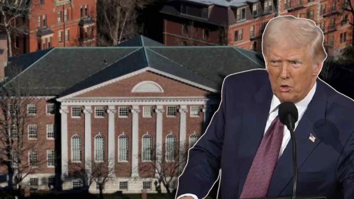 Donald Trump Harvard University