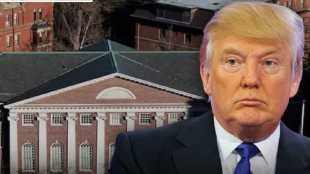 Donald Trump on Harvard University
