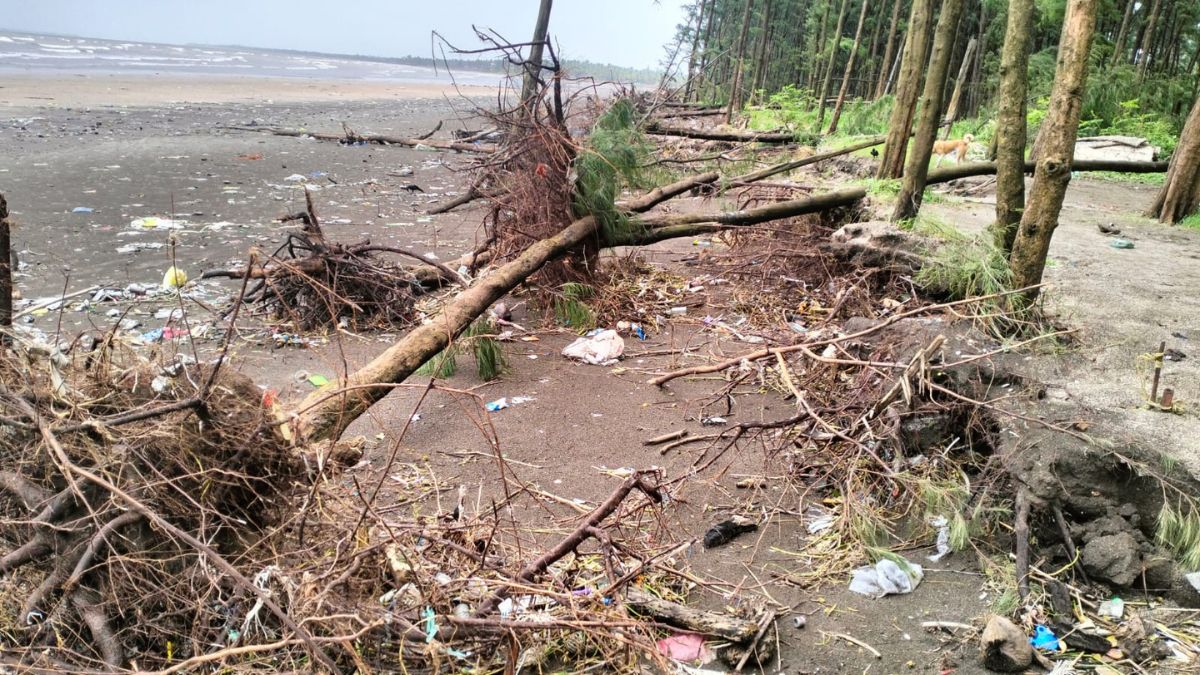 Erosion control dams in Vasai are on paper No work has been done despite approval of funds