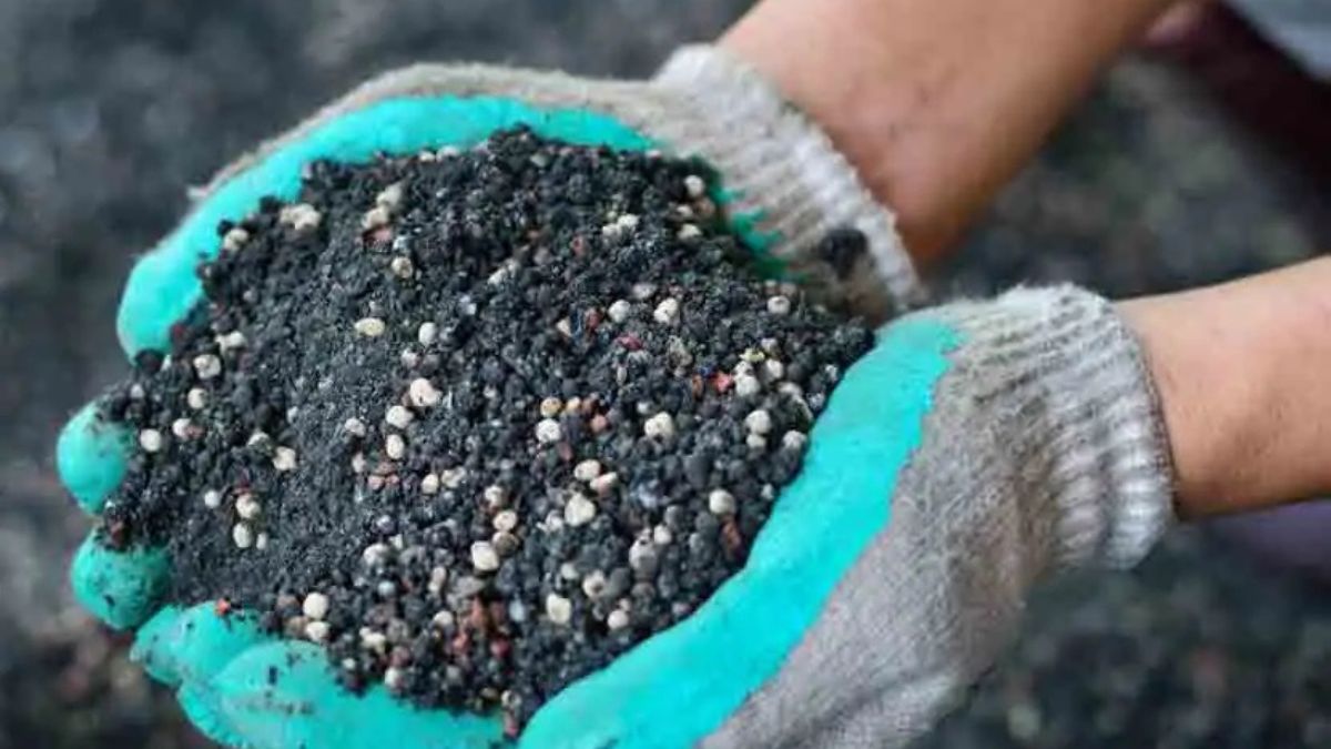 Fertilizer produced by Palus Municipal Council gets Green Brand status
