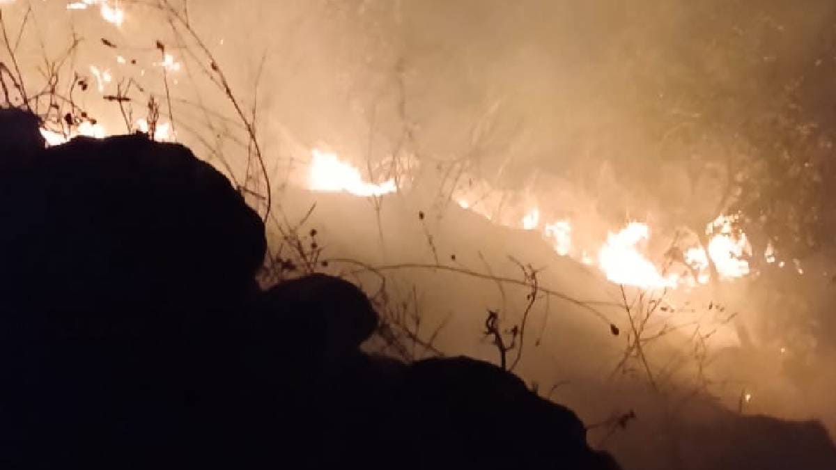 Fire breaks out in procession at Koregaon, Chavaneshwar taluka, Satara, causing a fire in the mountain, destroying hundreds of acres of natural resources