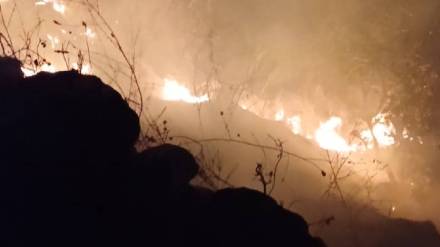Fire breaks out in procession at Koregaon, Chavaneshwar taluka, Satara, causing a fire in the mountain, destroying hundreds of acres of natural resources