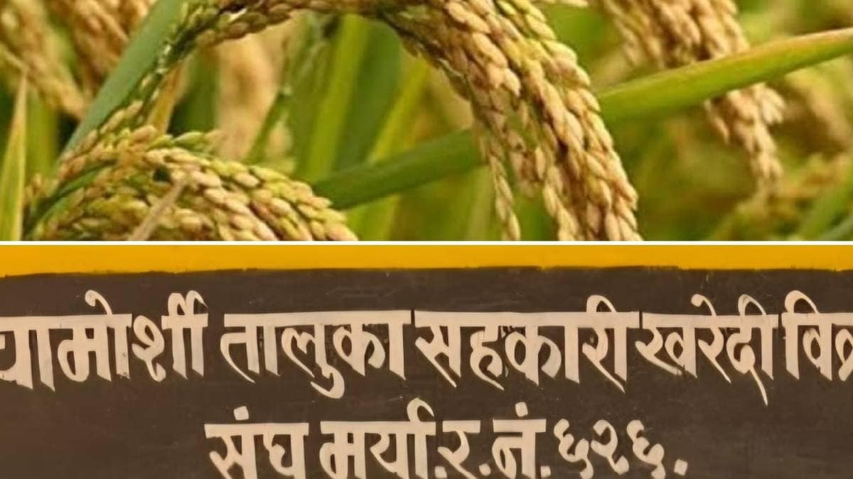 Register a case in the paddy bonus scam instructions from the Gadchiroli District Collector