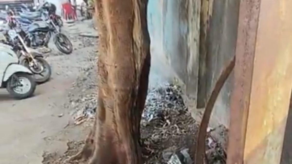 Goregaon BEST depot fined Rs 1000 for burning waste Mumbai Municipal Corporation action
