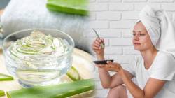 How To Use Aloe Vera Gel : उन्हाळ्यात चेहऱ्यावर अ‍ॅलोवेरा जेल लावण्याचे काय आहेत फायदे? काय मिक्स केल्यावर चेहऱ्यावर येईल ग्लो? जाणून घ्या