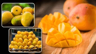 How to avoid heat after eating mangos body heat management in summer tips