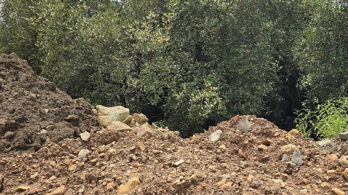 Revenue Department action against Illegal soil filling Vasai Virar area
