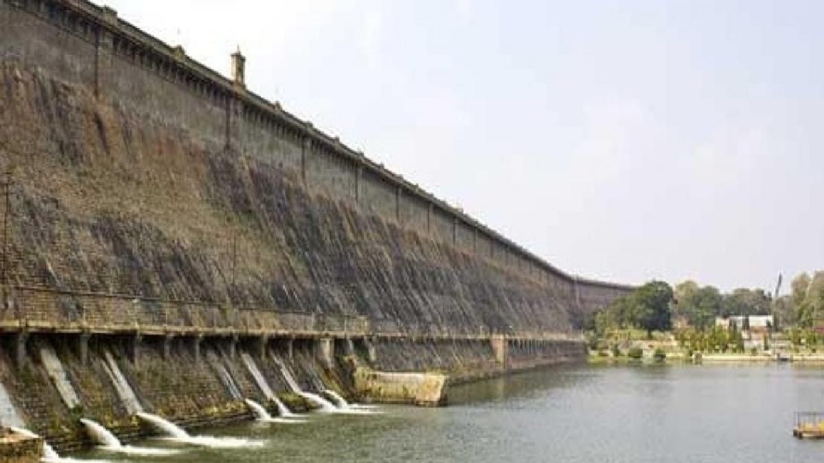 Search for replacement land for construction of kaloo dam in Palghar district
